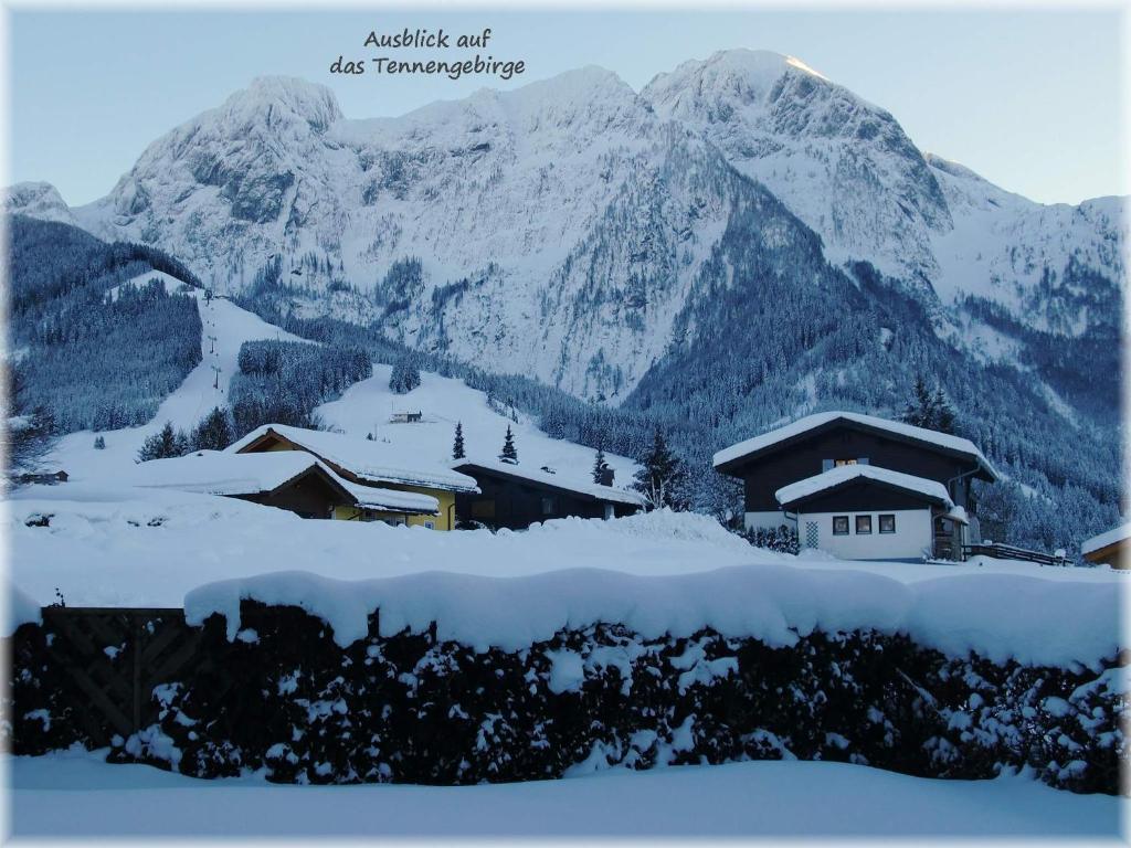 Apartment Dreier - Salzburger Land Abtenau Kültér fotó