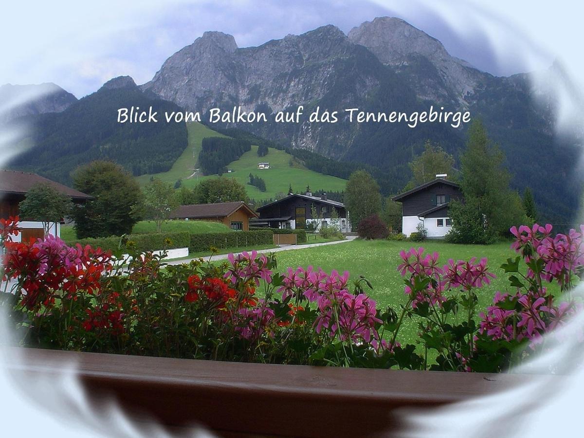 Apartment Dreier - Salzburger Land Abtenau Szoba fotó